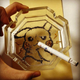 Illustration for article titled Some Anime Characters Are Perfect for Cigarette Art